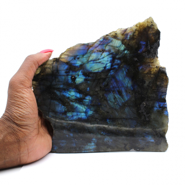 Labradorite polida de um lado colecionável