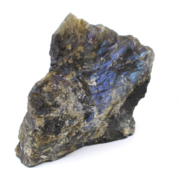 Labradorite polida de um lado colecionável