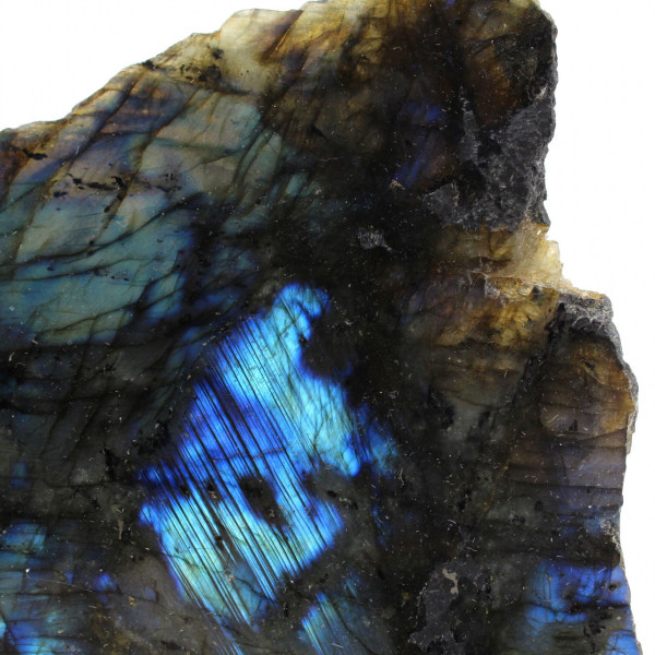 Labradorite polida de um lado colecionável