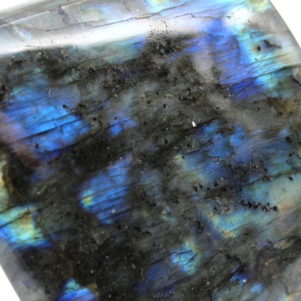 Labradorite polida de forma livre