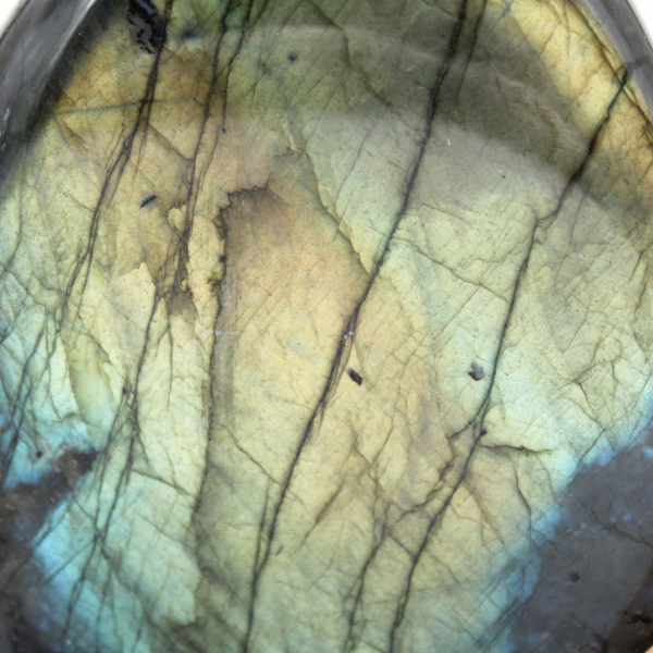 Labradorite polida para decoração