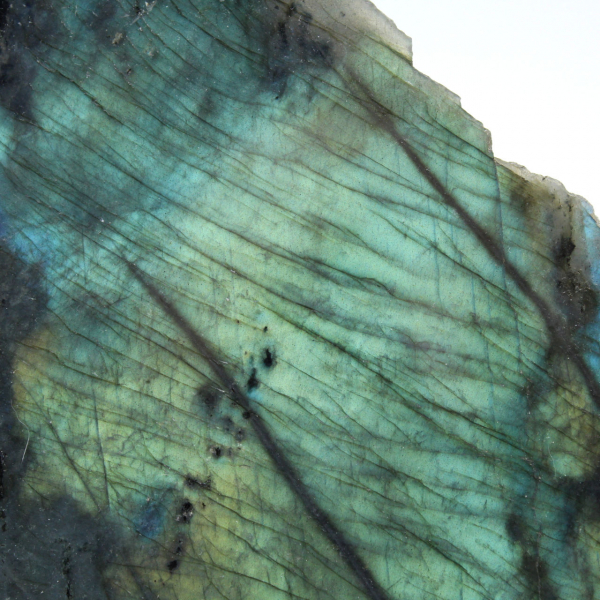 Rocha polida de labradorite unilateral
