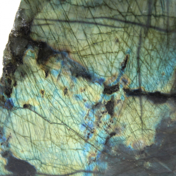 Labradorite polida unilateral ornamental