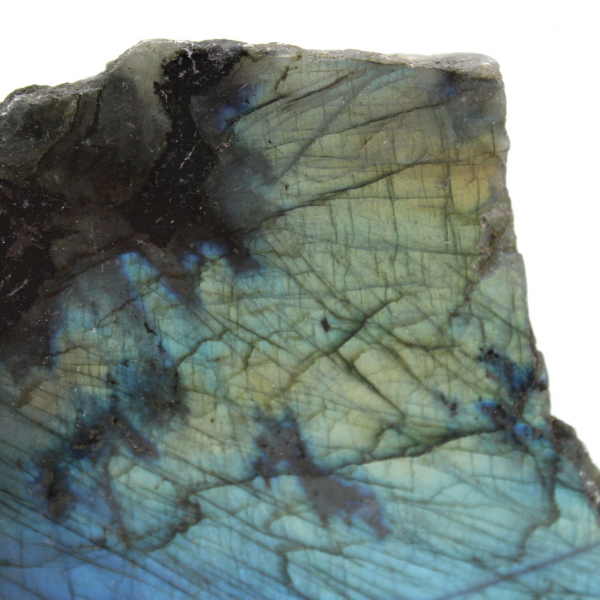 Labradorite polida unilateral de Madagáscar