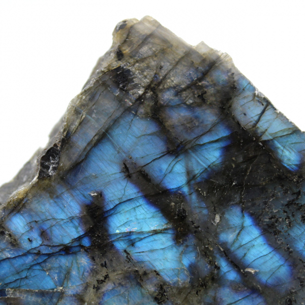 Labradorite branca polida com uma face, item de colecionador natural