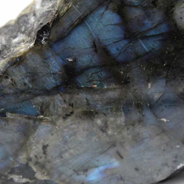 Labradorite branca polida com uma face, item de colecionador natural
