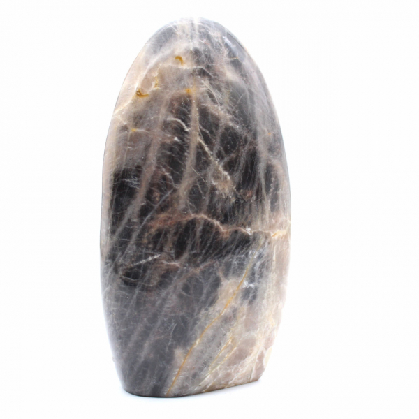 Pedra da Lua Negra Polida