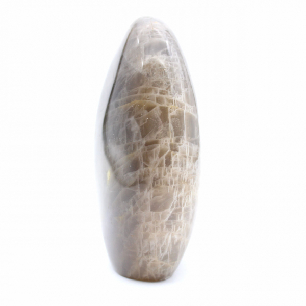 Pedra da Lua Negra Polida Freeform