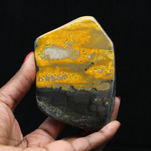 Coleção Bumblebee Polished Indonesia