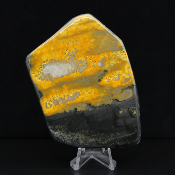 Coleção Bumblebee Polished Indonesia