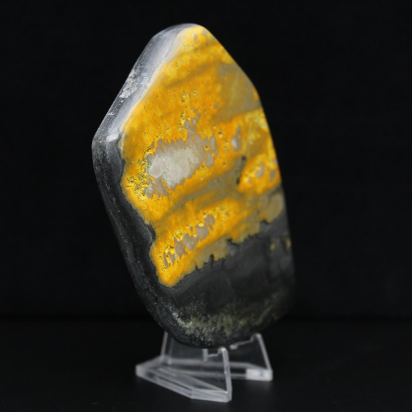 Coleção Bumblebee Polished Indonesia