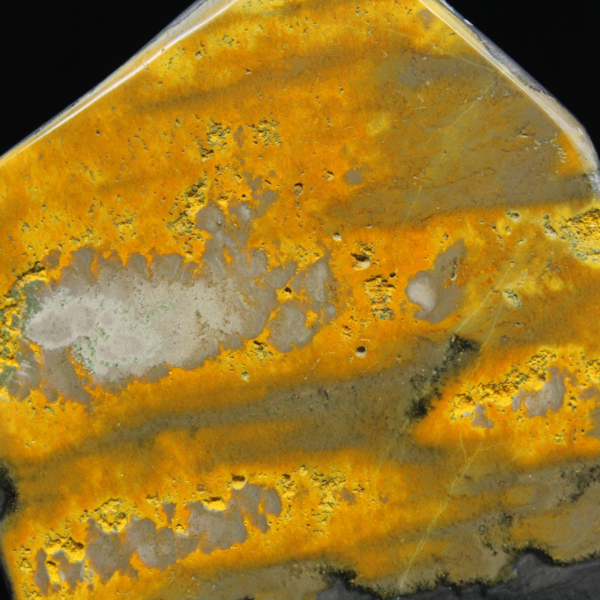 Coleção Bumblebee Polished Indonesia