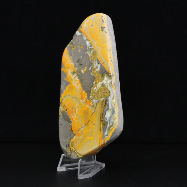 Espécime de abelha-de-jaspe em rocha vulcânica