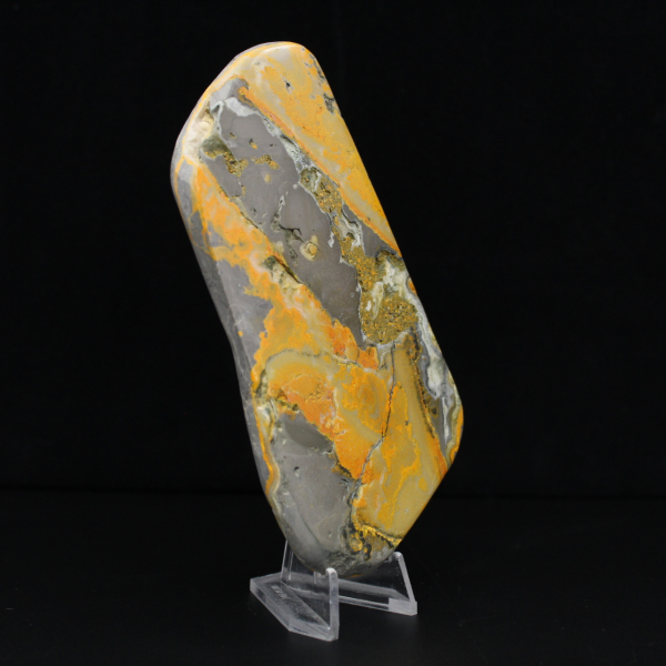 Espécime de abelha-de-jaspe em rocha vulcânica