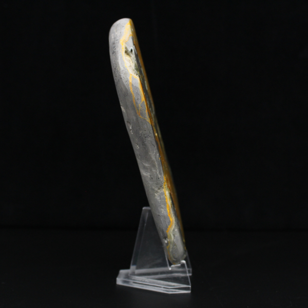 Espécime de abelha-de-jaspe em rocha vulcânica