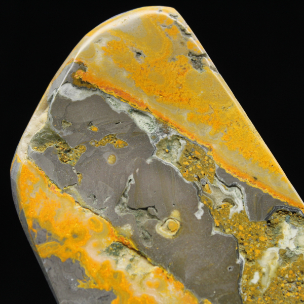 Espécime de abelha-de-jaspe em rocha vulcânica