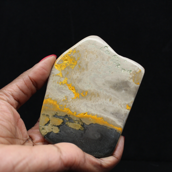 Decoração de autenticidade de espécime de abelha-mestra de jaspe