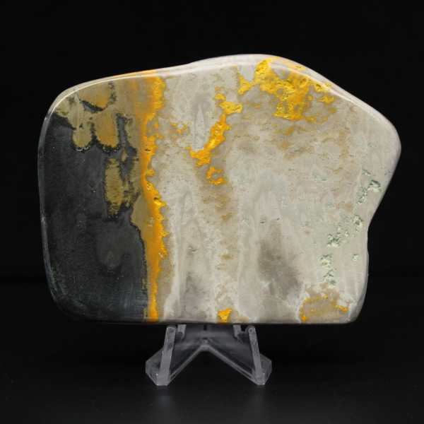 Decoração de autenticidade de espécime de abelha-mestra de jaspe