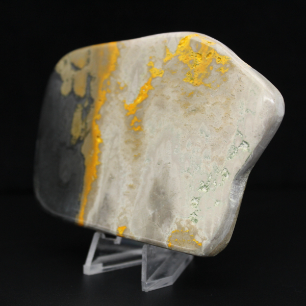 Decoração de autenticidade de espécime de abelha-mestra de jaspe