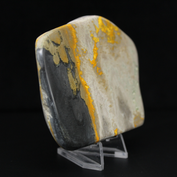 Decoração de autenticidade de espécime de abelha-mestra de jaspe