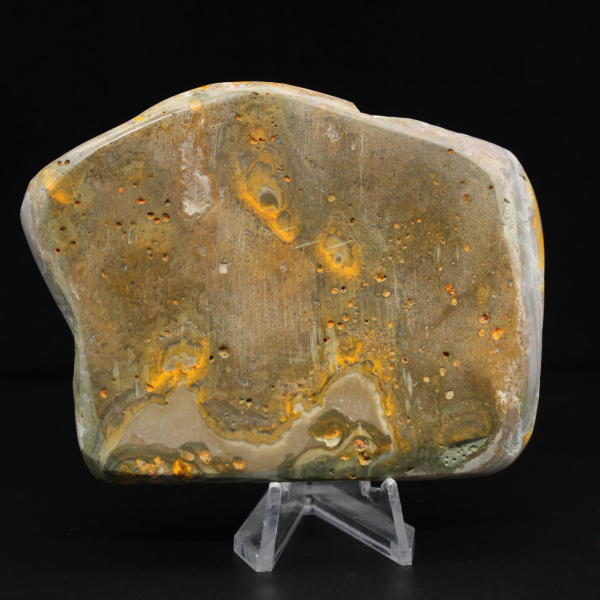 Decoração de autenticidade de espécime de abelha-mestra de jaspe