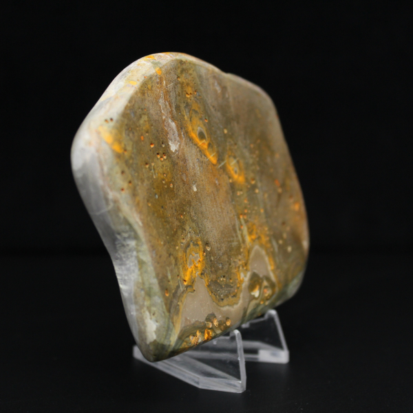 Decoração de autenticidade de espécime de abelha-mestra de jaspe