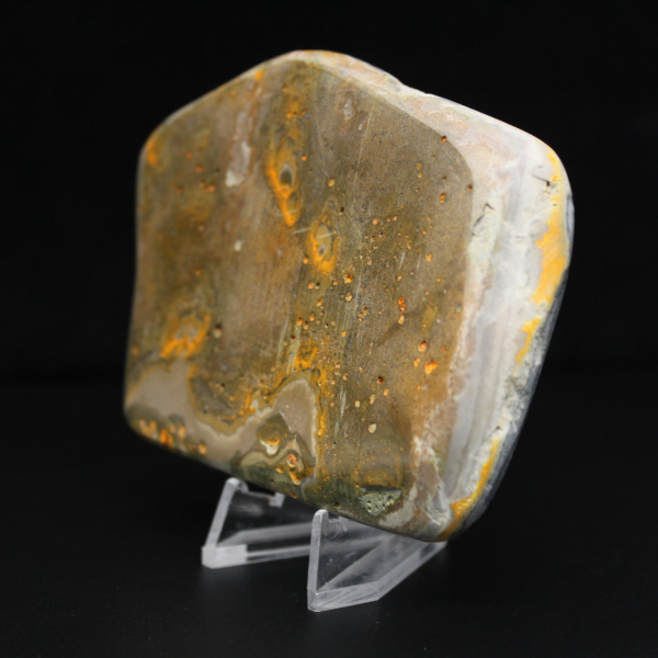 Decoração de autenticidade de espécime de abelha-mestra de jaspe