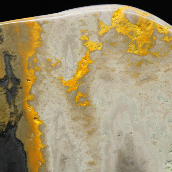 Decoração de autenticidade de espécime de abelha-mestra de jaspe