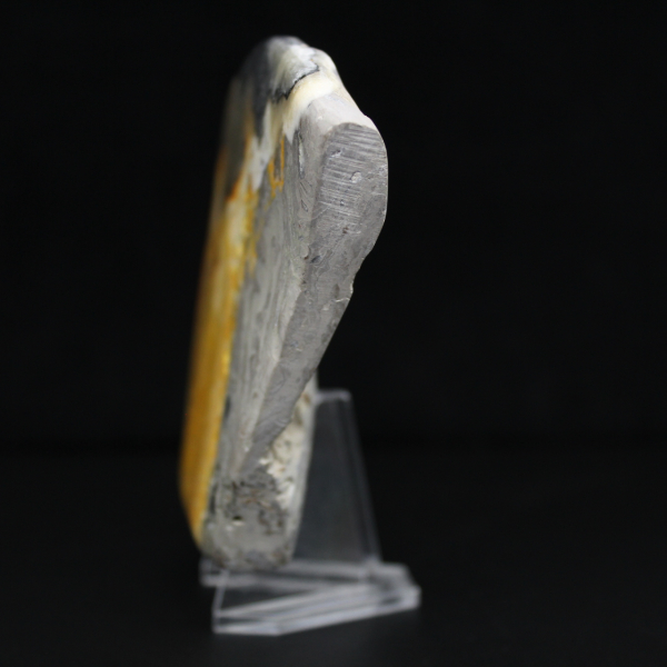 Ornamento autêntico de abelha em jaspe.