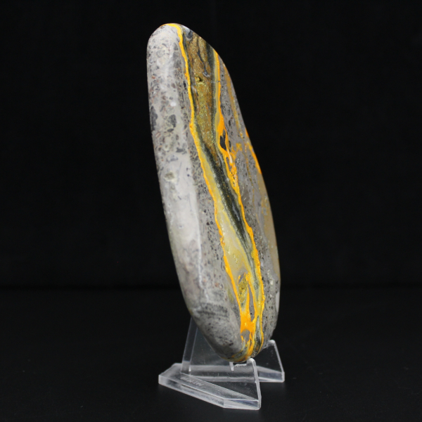 Espécime de Jaspe Abelha Polido - Coleção Científica