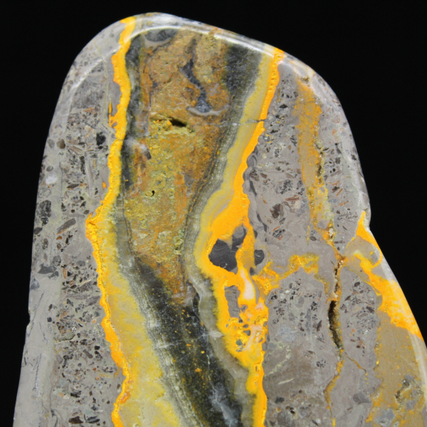 Espécime de Jaspe Abelha Polido - Coleção Científica