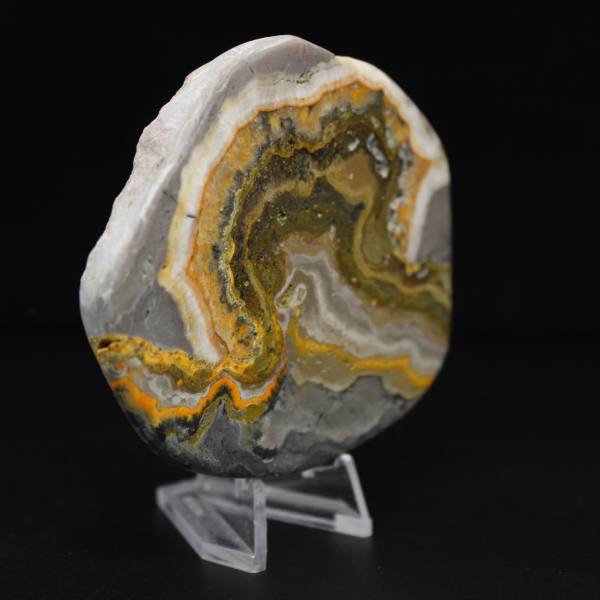 Ornamento de abelha em jaspe polido, Indonésia, raro.