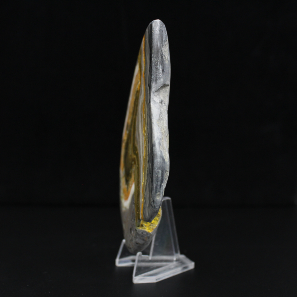 Ciência Mineral da Rocha Jaspe Abelha Polida