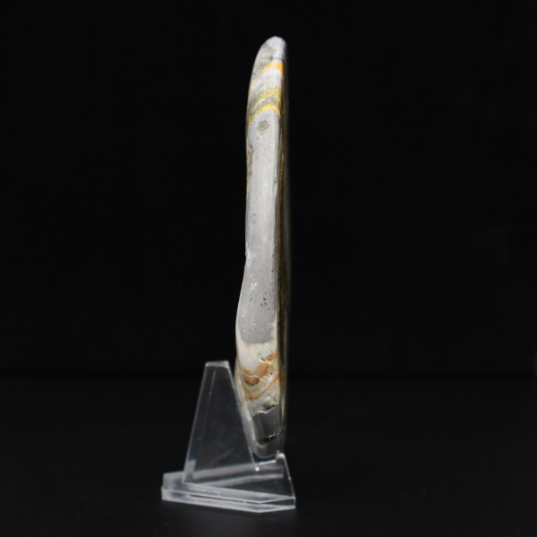 Ciência Mineral da Rocha Jaspe Abelha Polida