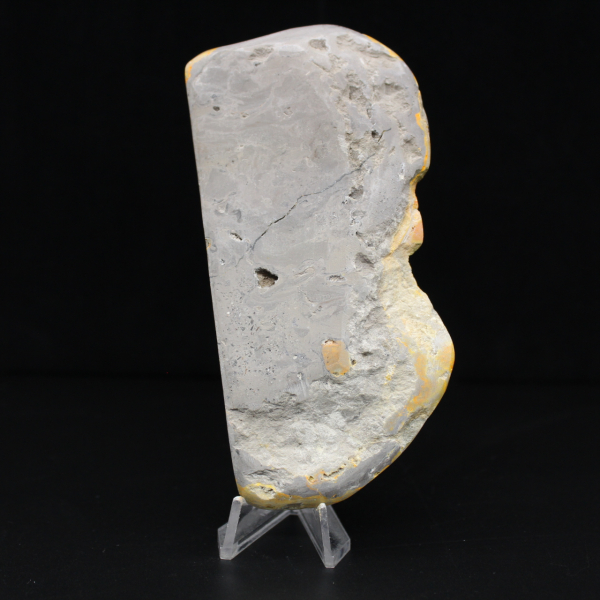 Ornamento grande de abelha em jaspe polido