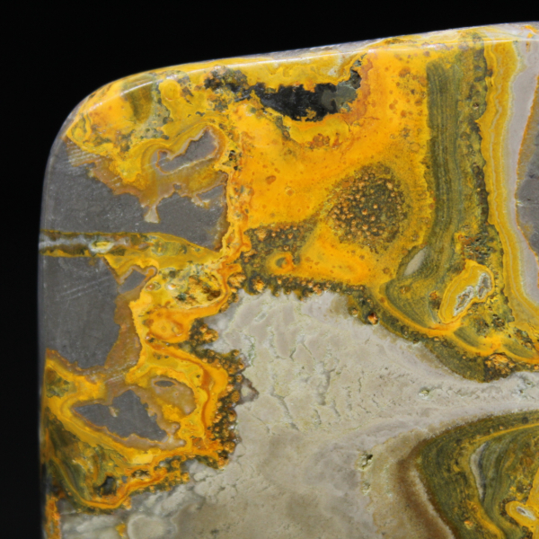 Ornamento pequeno de jaspe abelha polido