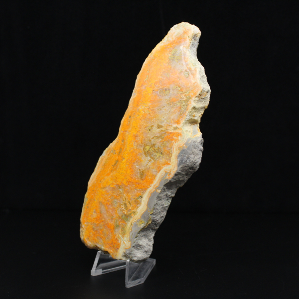 Fatia polida de jaspe abelha indonésio