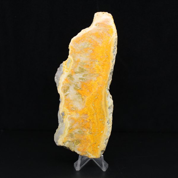 Fatia polida de jaspe abelha indonésio