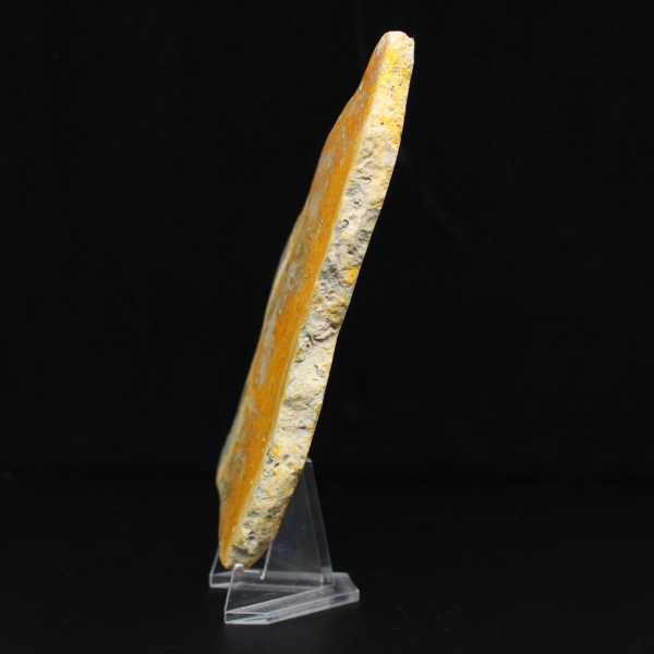 Fatia polida de jaspe abelha indonésio