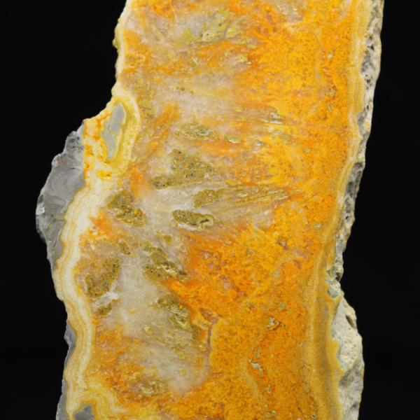 Fatia polida de jaspe abelha indonésio