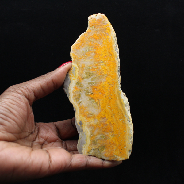 Fatia polida de jaspe abelha indonésio