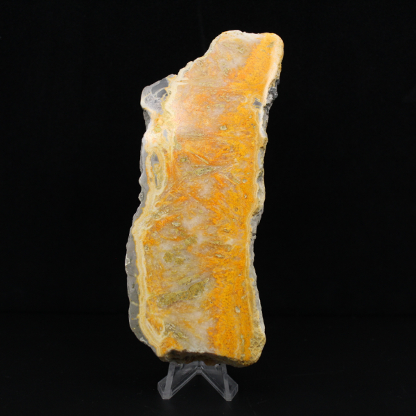 Fatia espessa de jaspe abelha indonésio