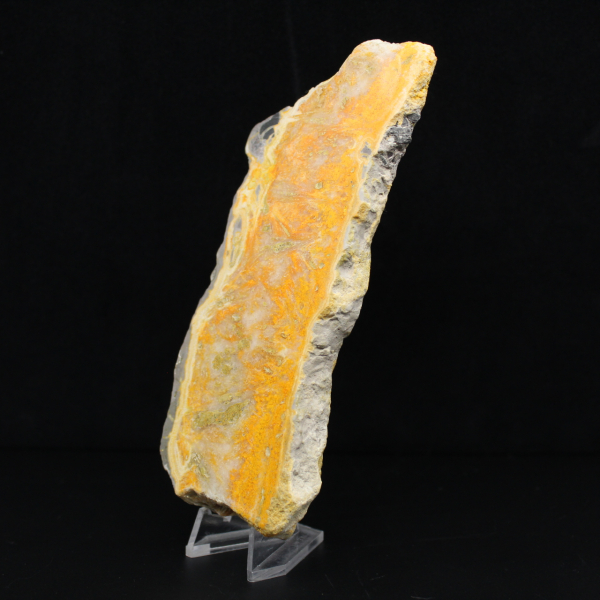 Fatia espessa de jaspe abelha indonésio