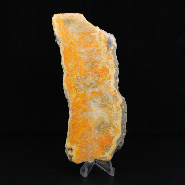 Fatia espessa de jaspe abelha indonésio