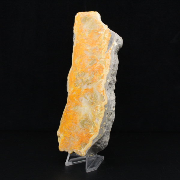 Fatia espessa de jaspe abelha indonésio