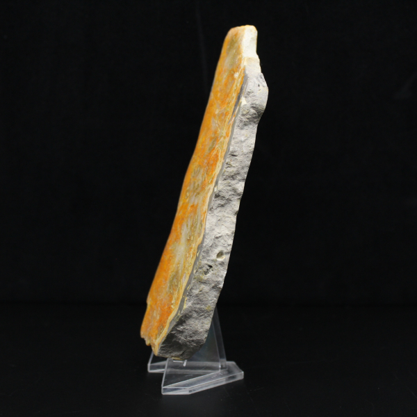 Fatia espessa de jaspe abelha indonésio