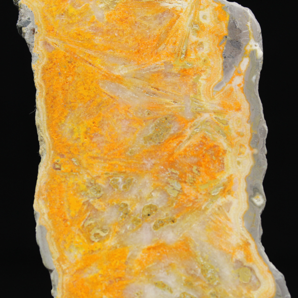 Fatia espessa de jaspe abelha indonésio