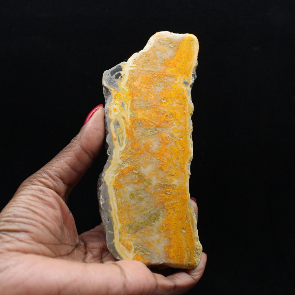 Fatia espessa de jaspe abelha indonésio