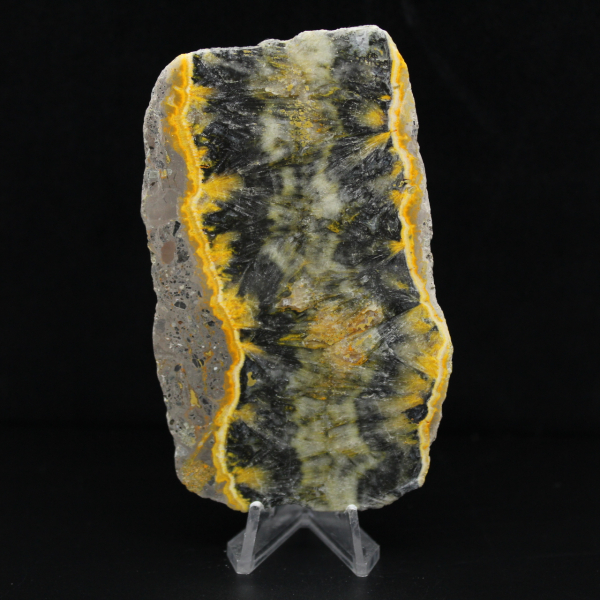 Placa fina de jaspe bumblebee polido