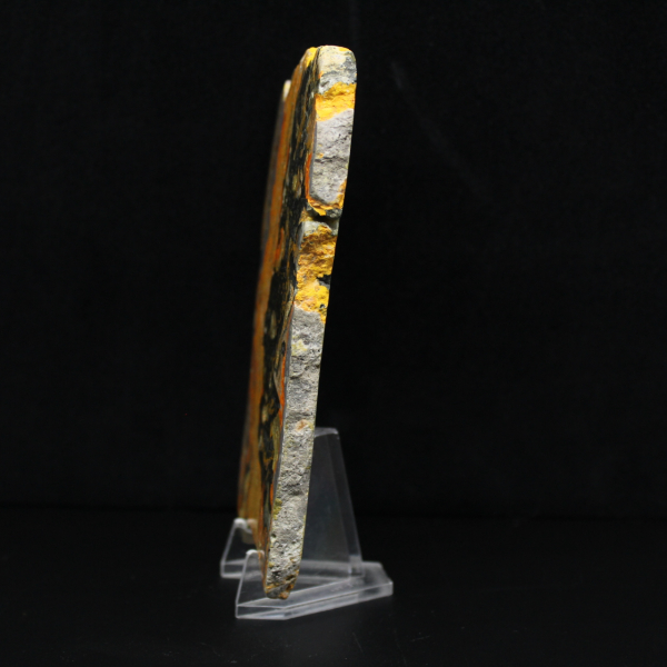 Fatia alongada de jaspe abelha polido